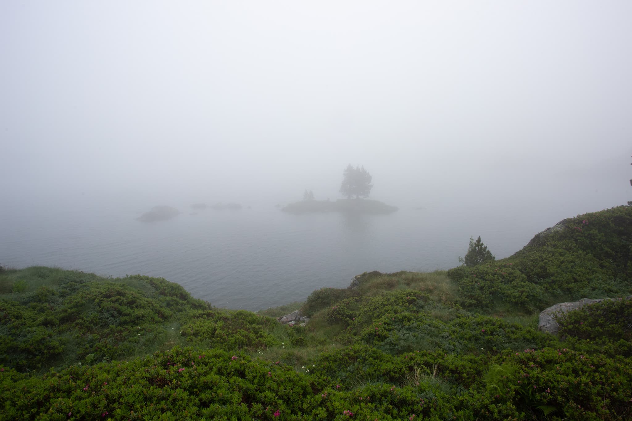 Pyrenees · Mountain Silence
